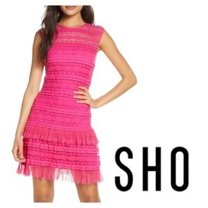 SHO Tadashi Shoji | Pink Crinkle Lace Dress